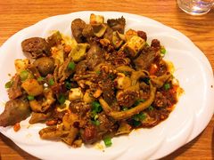 -老号尤兔头(幸福店)