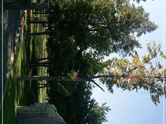 -长春公园(普阳街道)