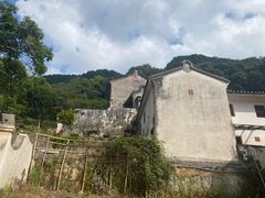-雁南飞茶田景区