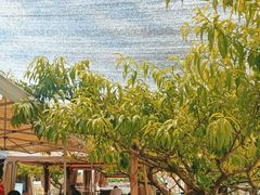 -玫瑰庄园·自助烧烤·烤全羊·团建拓展(龙泉山店)