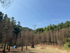 -广州市帽峰山景区