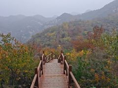 -大岭沟猕猴桃谷风景区
