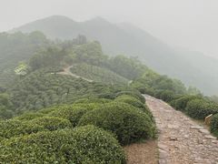 -十里琅珰