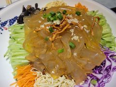 大院拉皮-东北大院·东北菜(三台子店)