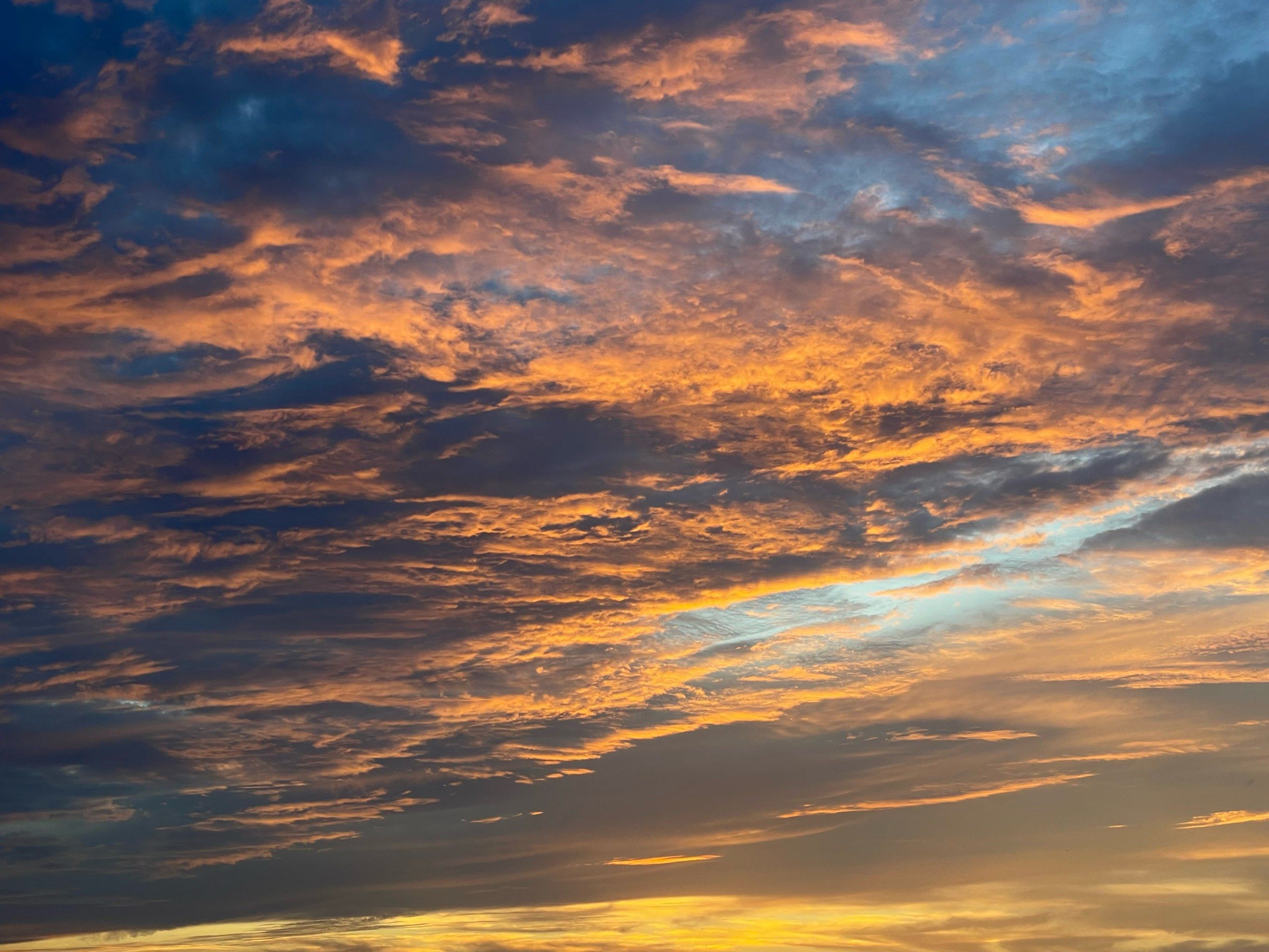 晚霞染红了天空