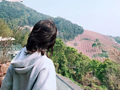 -远山有窑