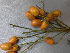 -百果园PAGODA(中铭豪园店)