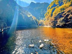 -少华山国家森林公园