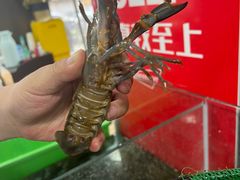 -星记小馆·小蓝龙·老南京砂锅菜(上海路店)