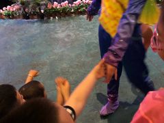 -青岛东方影都融创水世界