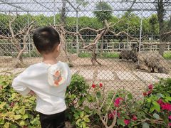 -长廊欢乐园