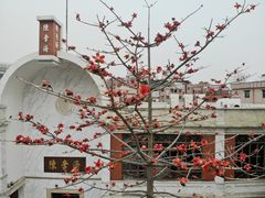 -陈李济中药博物馆