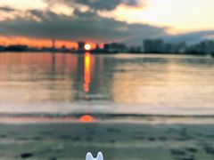 -台场海滨公园船码头