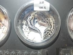 -酷以爬仙阁实体爬宠店·守宫·蜥蜴·专业繁育