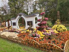 -上海共青森林公园