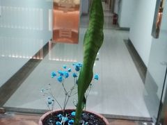 -学习谷日语培训日本留学·多语种外语教学(海淀人大分部)