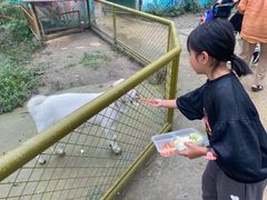 -合肥滨湖国家森林公园