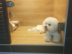 -宠物之家Pets Home 宠物寄养酒店