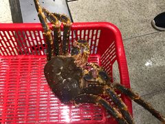 -蚝专家(北滘店)