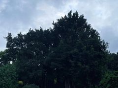 -乌山风景区