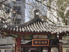 -桃花堤公园