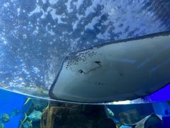 -长春中泰海洋世界