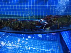 -前王院•巧克力海鲜市集餐厅(万平口店)