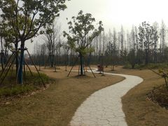 -上海长兴岛郊野公园