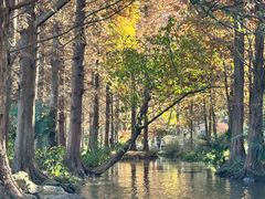 -西湖外事游船(花港观鱼码头)