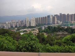 -金鸡山公园