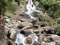-海南热带雨林国家公园吊罗山景区