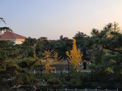 二楼阳台俯瞰-公主楼