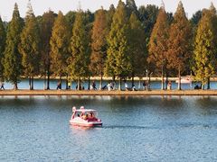 -食膳公园包子铺(烈士公园店)