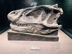 -自贡恐龙博物馆