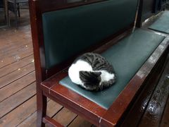 -有才叔的小馆(招商依云曲江店)