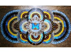 -上海昆虫博物馆