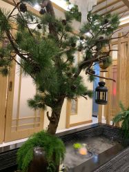 -芳朵美容养生SPA