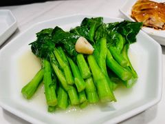 头抽菜心-金戈戈香港豉油鸡(南山海岸城店)