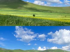 -张北坝上草原