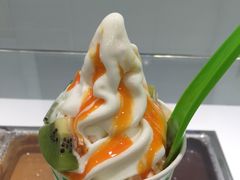 -Salud撒露欧洲冻酸奶(北苑上品店)
