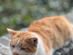 -镇南锅盖面馆(解放路店)