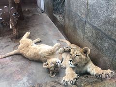 -西安秦岭野生动物园