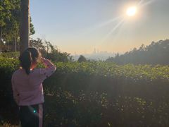 -火炉山森林公园