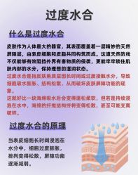 点击看大图 -玛莲朵·海菲秀冰珀科