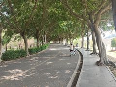 -风云岭森林公园