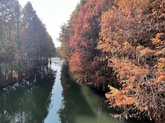 -厦门园林博览苑