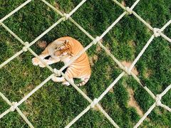 -西霞口神雕山野生动物世界