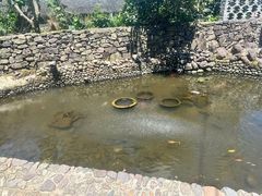 -丹山赤水风景名胜区