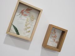 -暮蝉冰粉