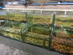 -同道蒸汽海鲜烧烤自助(刘庄夜市店)